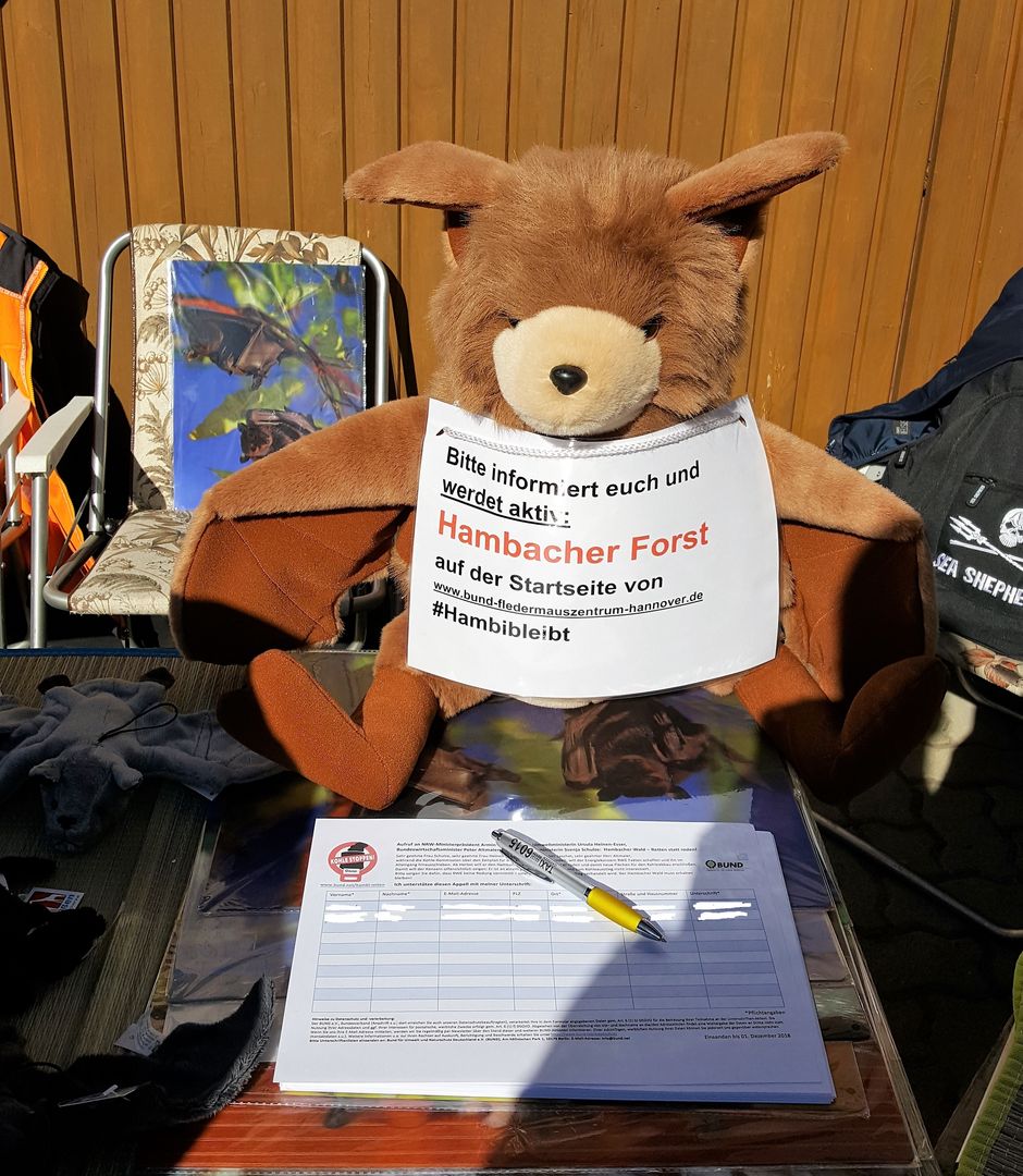 Das Foto zeigt Stofffledermaus Plüti, der Unterschriften für den Kohleausstieg sammelt // the photo shows soft toy bat Plüti who collects signatures for the End Coal petition