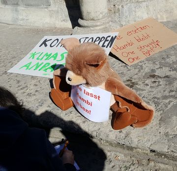Das Foto zeigt Stofffledermaus Plüti, der in Braunschweig Unterschriften für den Kohleausstieg sammelt // the photo shows soft toy bat Plüti who collects signatures for the End Coal Petition in Braunschweig 