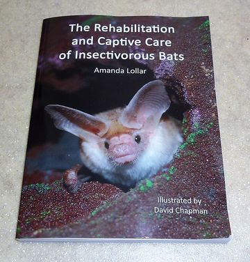 Das Foto zeigt das Buch The Rehabilitation and Captive Care of Insectivorous Bats by Amanda Lollar