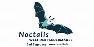 Die Zeichnung zeigt das Logo des Noctalis, eine Fledermaus fliegt über den Schriftzug "Noctalis Welt der Fledermäuse" // the drawing shows the logo of Noctalis. A bat flies over the words "Noctalis World of Bats"