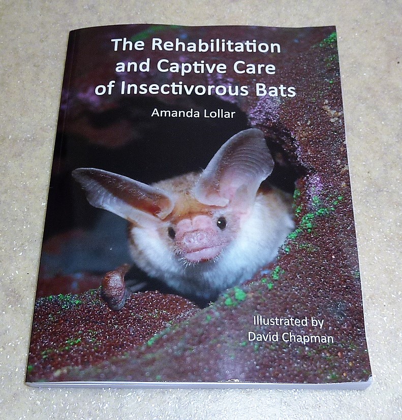 Das Foto zeigt das Buch The Rehabilitation and Captive Care of Insectivorous Bats by Amanda Lollar
