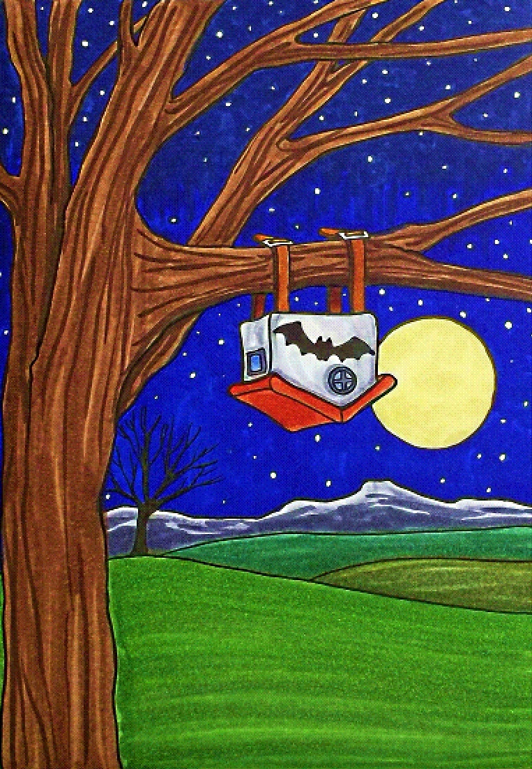 Die Zeichnung zeigt ein symbolisch ein Fledermaushaus als Zuhause für die Fledermäuse // The drawing symbolically depicts a bat house as the home for the bats