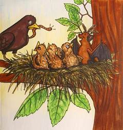 Die Zeichnung zeigt BUNDchen Fledermaus, der in einem Vogelnest zu Gast ist // The drawing shows BUNDchen Fledermaus, who is visiting a bird's nest