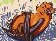 Die Zeichnung zeigt BUNDchen Fledermaus, der wegen der Pestizide krank ist. // The drawing shows BUNDchen bat, who is ill because of the pesticides.